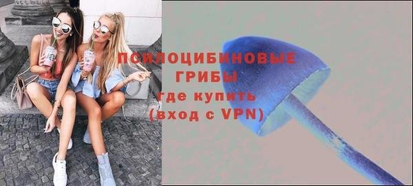 PSILOCYBIN Богородицк