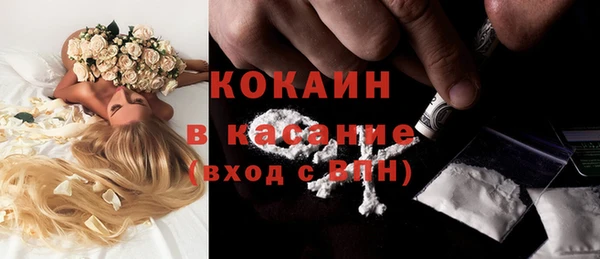 PSILOCYBIN Богородицк