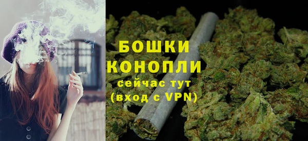 PSILOCYBIN Богородицк