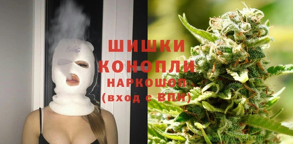spice Богданович