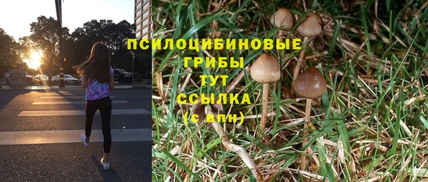 spice Богданович