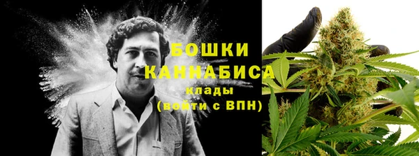 spice Богданович